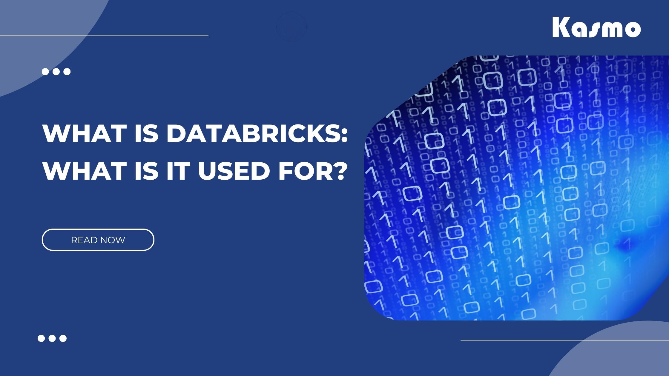 What is Data bricks